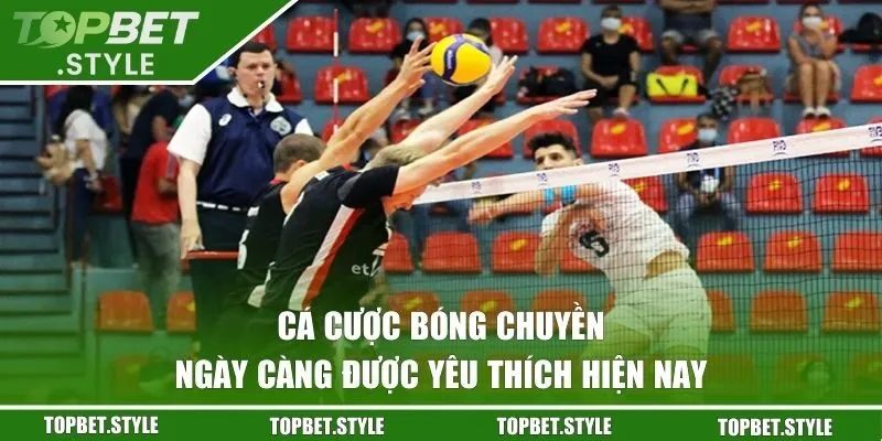 Cá cược bóng chuyền ngày càng được yêu thích hiện nay